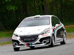 Peugeot 208 R2 Rally Car 2012 года